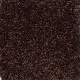 Shaw Floors Magic At Last IV 12' Fudge Brownie SHAW