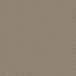 Shaw Floors Affirmation I Midtown SHAW