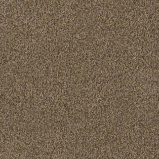 Dreamweaver Carpet Hot Pursuit Shimmer DREAMWEAVER