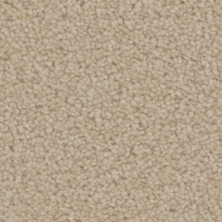 Tarkett Home Carpets Providence Townlet LEXMARK