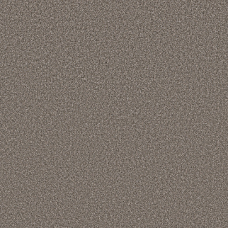 Shaw Floors Affirmation I Creek Bend SHAW