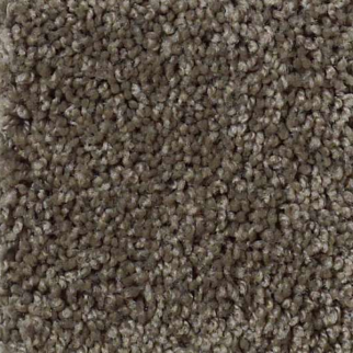 Shaw Floors Origins Graphite SHAW