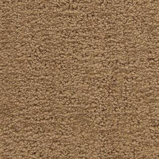 Masland Carpets Santa Barbara Oak Park Masland