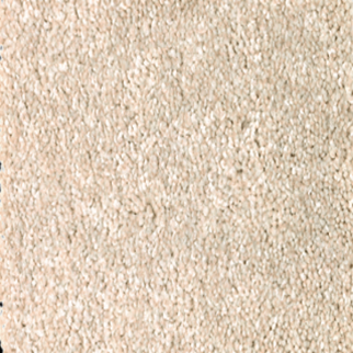 Mohawk Carpet True Unity Canvasback Mohawk