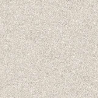 Masland Carpets Tracker Odie Masland