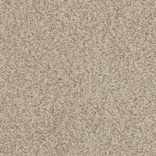 Masland Carpets Boca Raton Amazing Masland