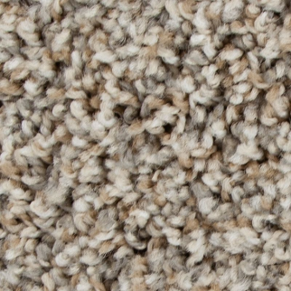 Mohawk Carpet Color Fusion I Dewkist Mohawk