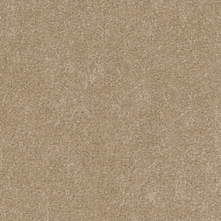Dreamweaver Carpet Cedar Creek Buff DREAMWEAVER