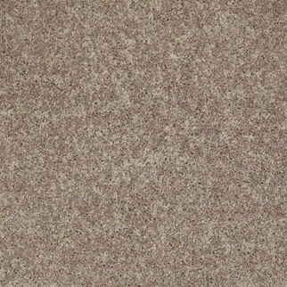Shaw Floors All Star Weekend III 15' River Slate SHAW