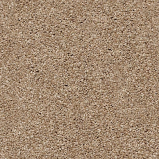Shaw Floors Your Comfort II Falling Leaves SHAW