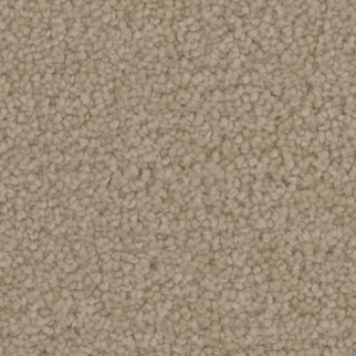 Tarkett Home Carpets Providence Grove LEXMARK