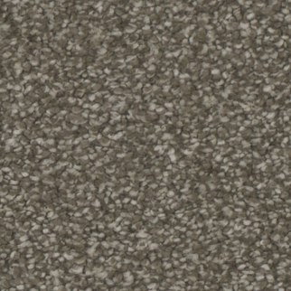 Tarkett Home Carpets Enamour Inviting LEXMARK