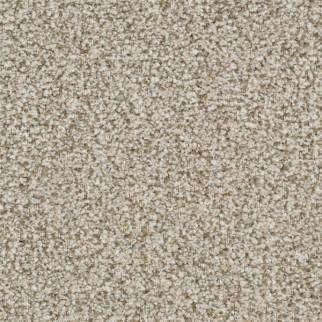 Masland Carpets St Augustine Unwavering Masland
