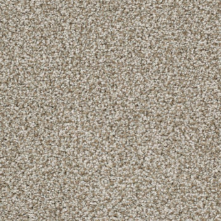 Masland Carpets Sunset Key Unwavering Masland