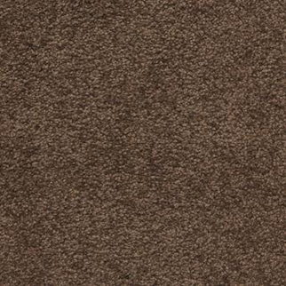 Masland Carpets Knockout Coffee Bean Masland