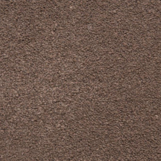 Masland Carpets Ravishing Elegant Masland