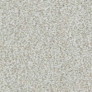 Masland Carpets St Augustine Endless Masland