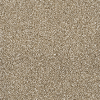 Dreamweaver Carpet Montauk Quail DREAMWEAVER