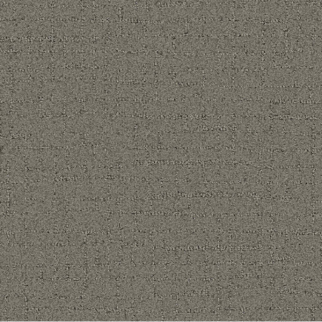 Tarkett Home Carpets Talk Of The Town Travertine LEXMARK