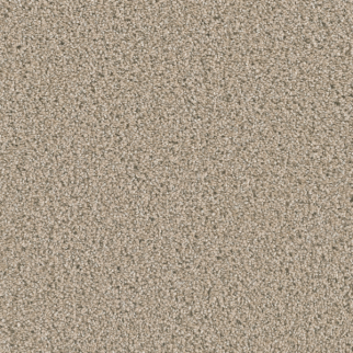 Dreamweaver Carpet Dazzling Ginger DREAMWEAVER