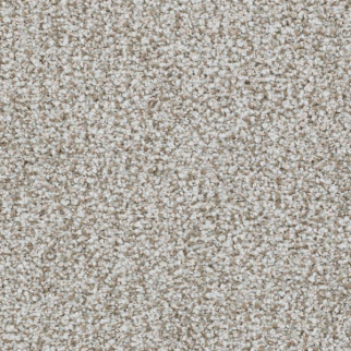 Masland Carpets St Augustine Steadfast Masland