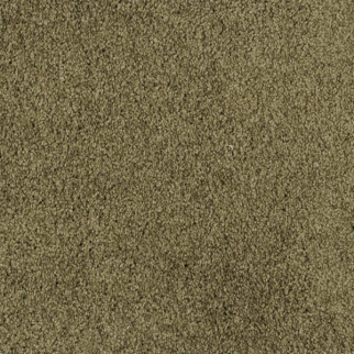 Masland Carpets Oceanside Cypress Masland