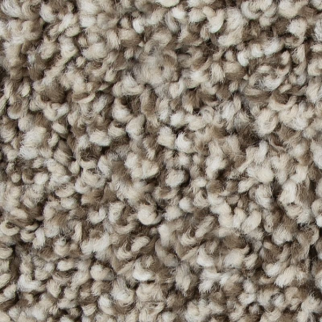 Mohawk Carpet Color Fusion I Overcast Mohawk