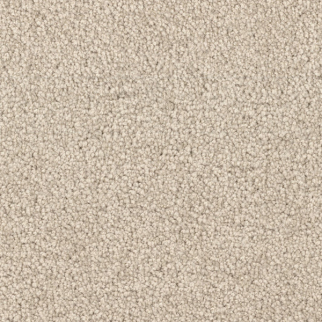 Dixie Home Spring Break Seagrass