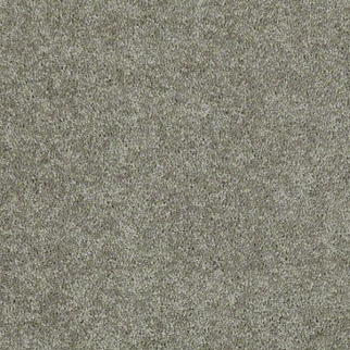 Shaw Floors Dyersburg Classic 15' Suede SHAW