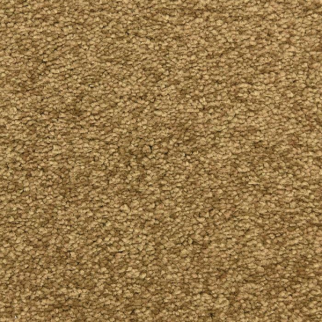 Masland Carpets Morgan Bay Woofruff Masland