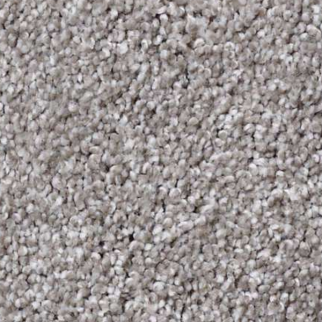Shaw Floors Always Ready II Arrowhead SHAW