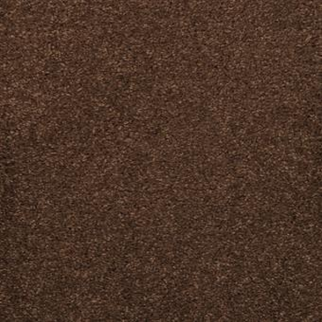 Masland Carpets Embrace Bison Masland