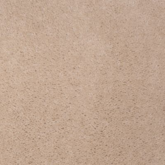 Aladdin Carpet Accelerator Plus Winning Neutral Mohawk