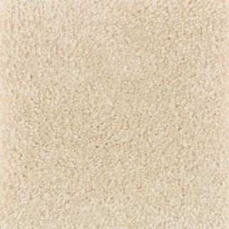 Mohawk Carpet Homefront I Champagne Bubble Mohawk