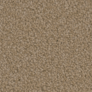 Tarkett Home Carpets Providence Gallery LEXMARK
