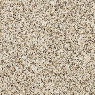 Mohawk Carpet Diffurent Choice III Fawn Mohawk
