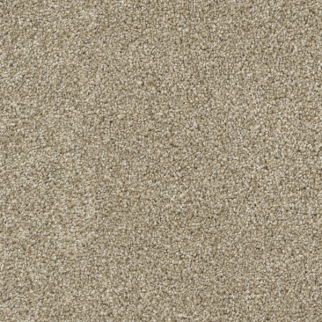 Dixie Home Game Plan Pebble