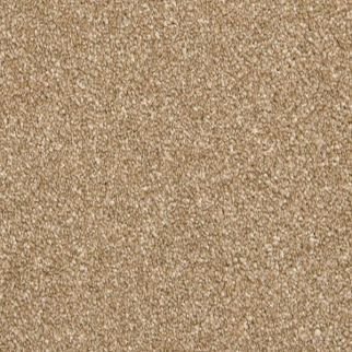 Mohawk Carpet Dynamic Quality II Midsummer Mohawk