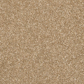 Mohawk Carpet Dynamic Quality I Midsummer Mohawk