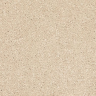 Mohawk Carpet Quality Feeling Shoescape Mohawk