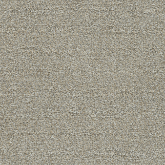 Dreamweaver Carpet Clearwater II Kindling DREAMWEAVER