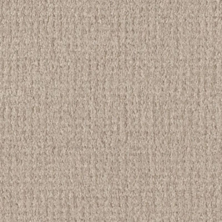 Shaw Floors Fine Tapestry Sandstone SHAW