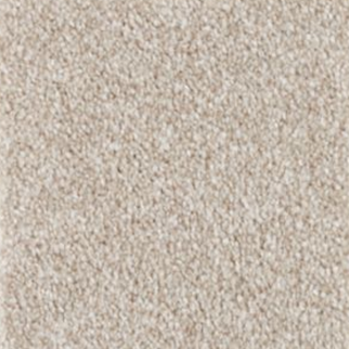 Mohawk Carpet True Melody Twine Mohawk