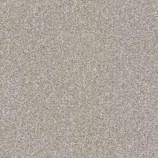 Masland Carpets Tracker Benji Masland