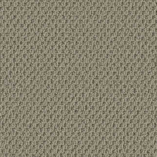 Tuftex Gracious Mocha SHAW