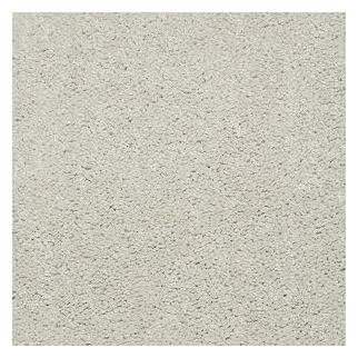 Shaw Floors Knockout II 12' Face Powder SHAW