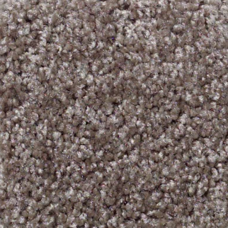 Shaw Floors Parlay Dockside SHAW