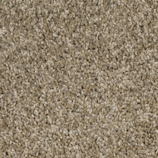 Mohawk Carpet Up The Ante Grovewood Mohawk
