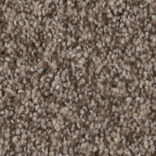 Tuftex Bossa Nova Palm Desert SHAW