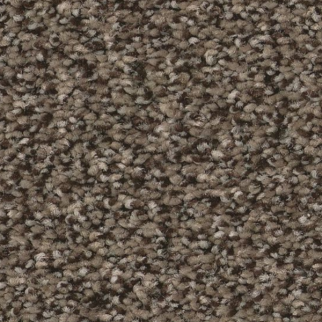 Tuftex Somerset Sable SHAW